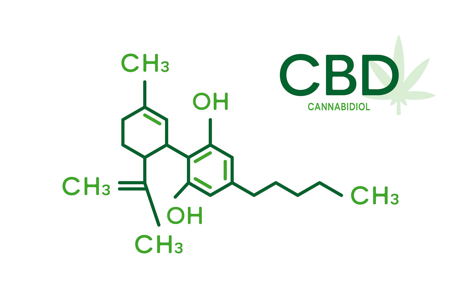 The Science Behind CBD: How It Works and Why It Matters